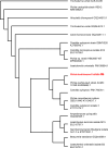 Fig. 10