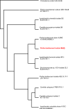 Fig. 9