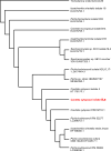 Fig. 11