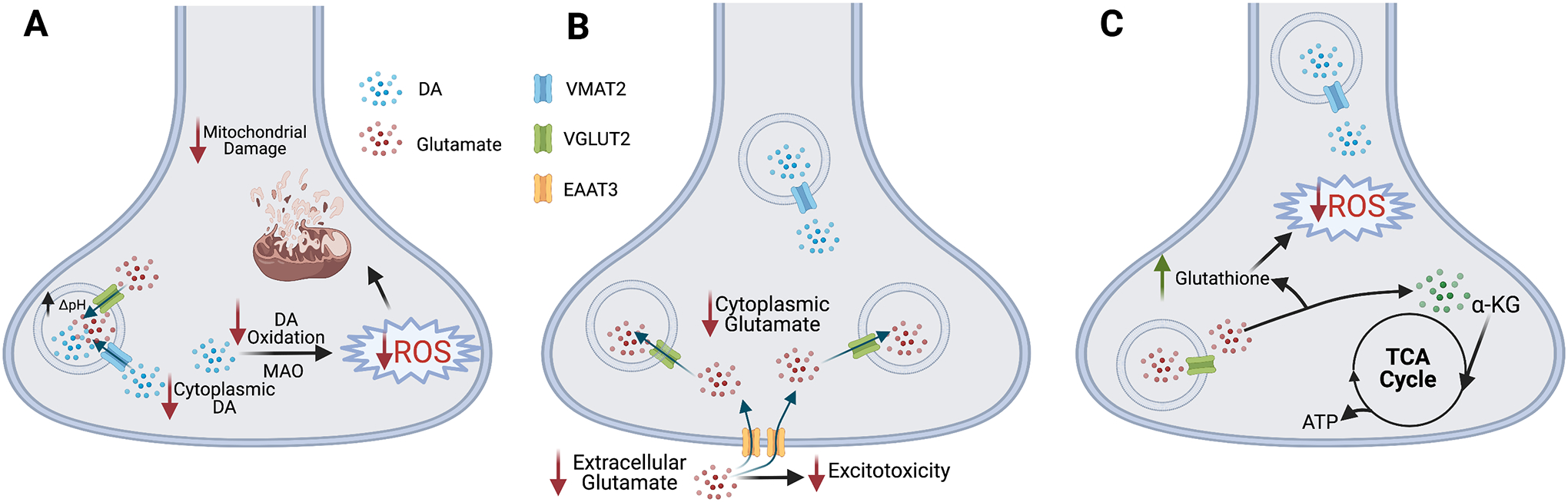 Figure 3.