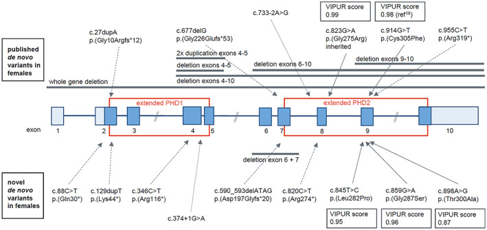 FIGURE 2