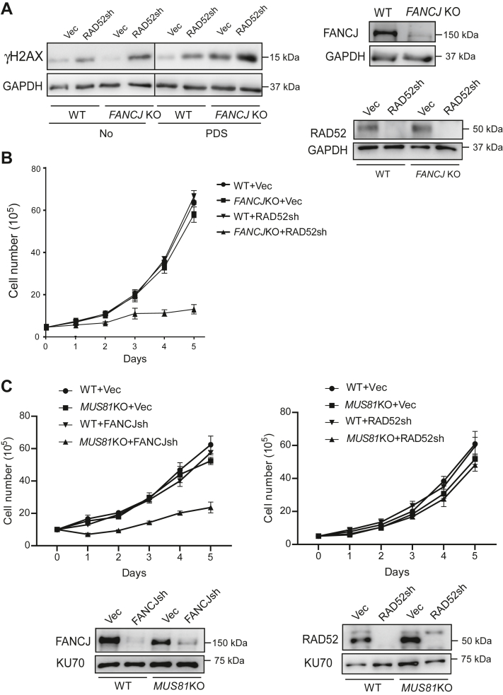 Figure 6