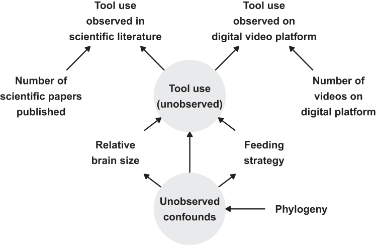 Figure 1