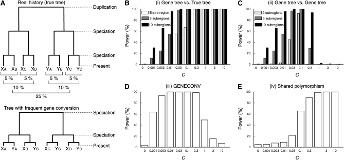 Figure 6.—