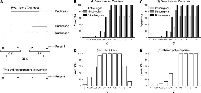 Figure 5.—