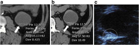 Fig. 5