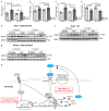 Extended Data Figure 9