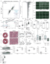 Extended Data Figure 7