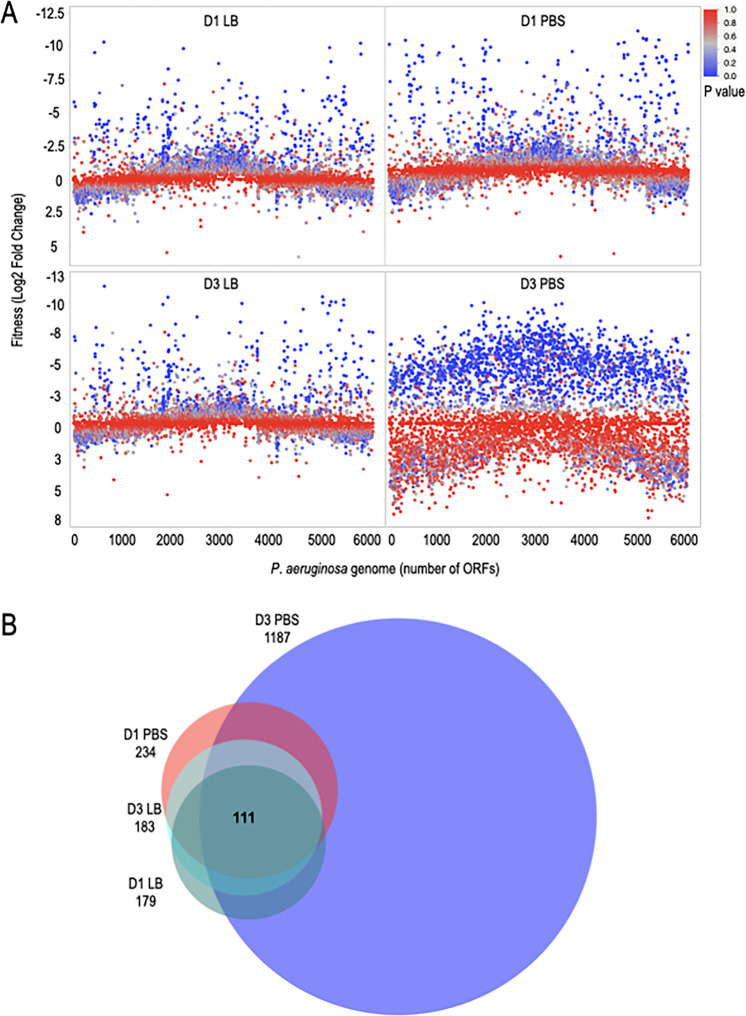 FIG 3