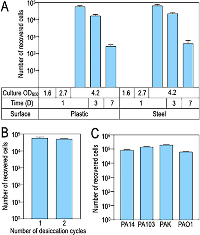 FIG 1