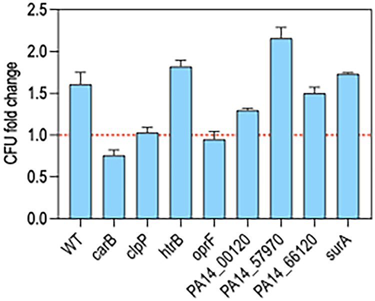 FIG 6