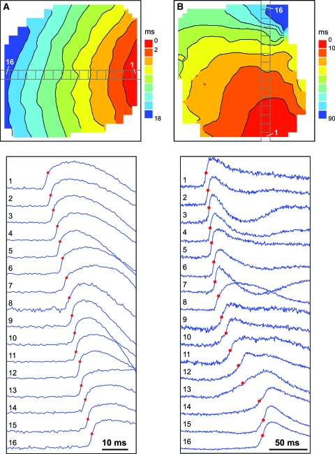 FIG. 2.