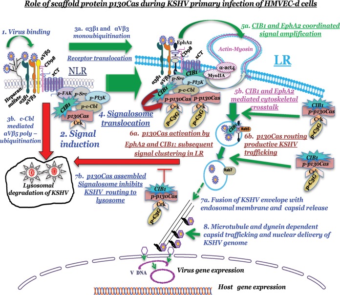 FIG 12