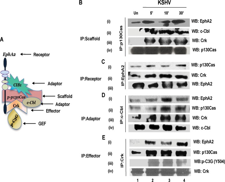 FIG 6