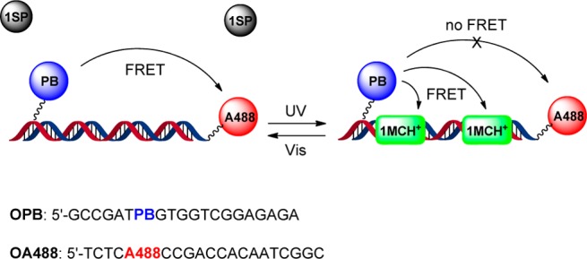 Scheme 2