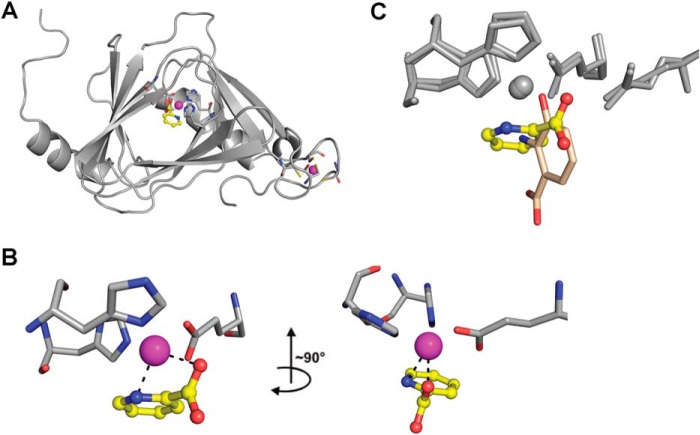 FIGURE 10.