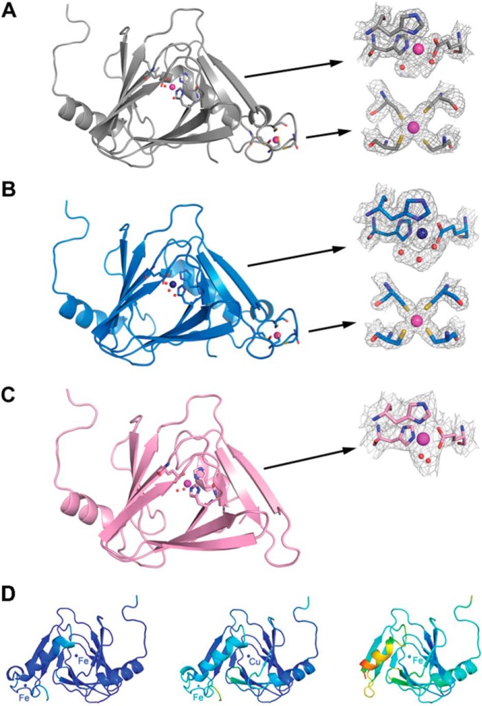 FIGURE 5.