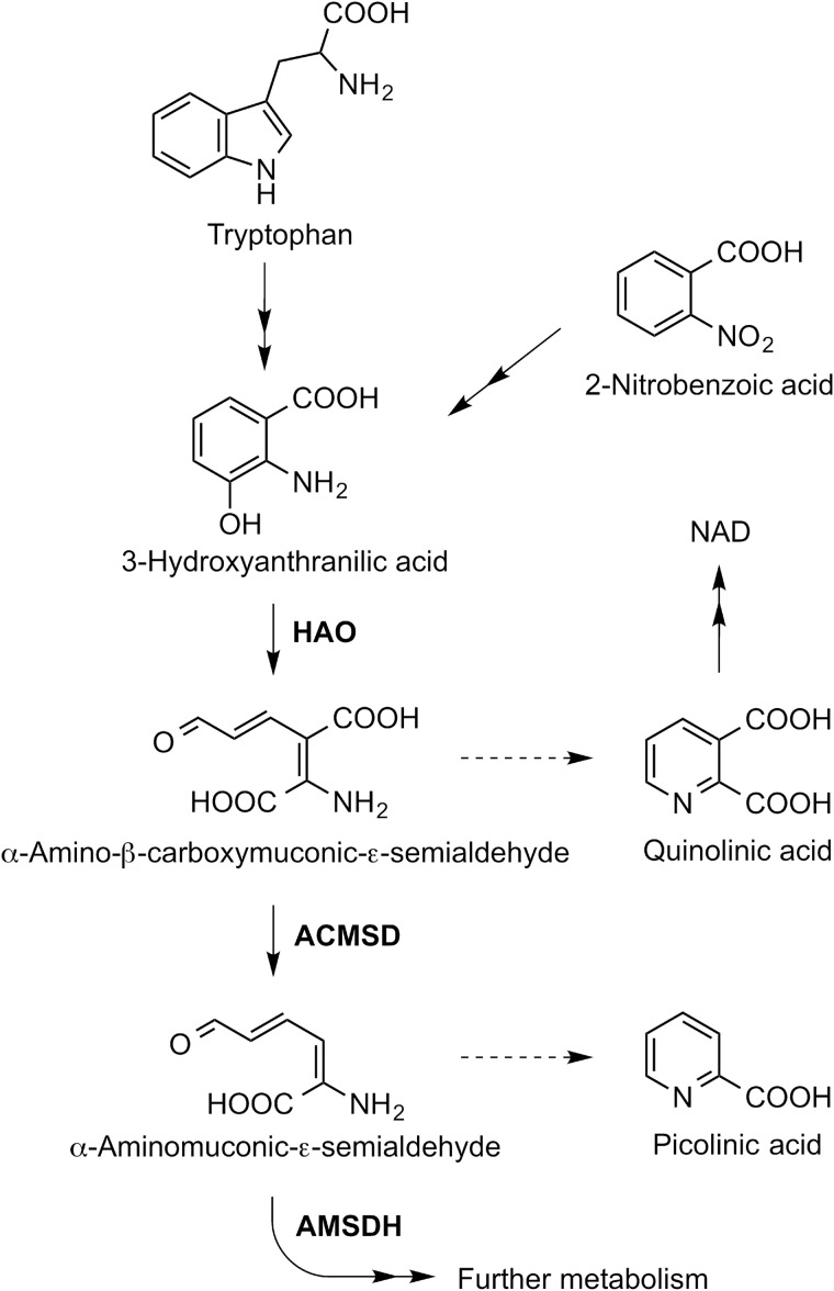 FIGURE 1.