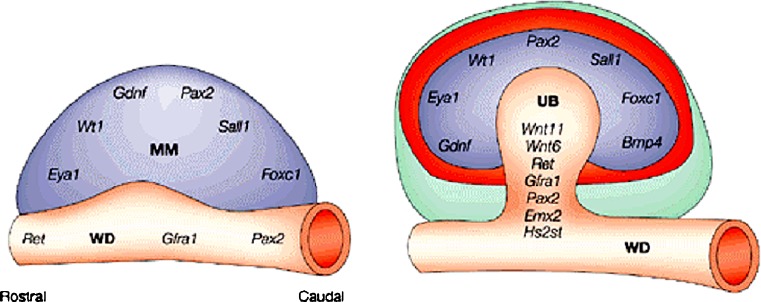 Fig. 4