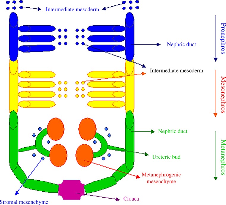 Fig. 2