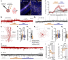 Fig. 2: