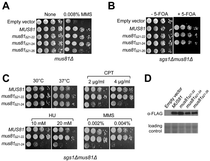 Figure 6.