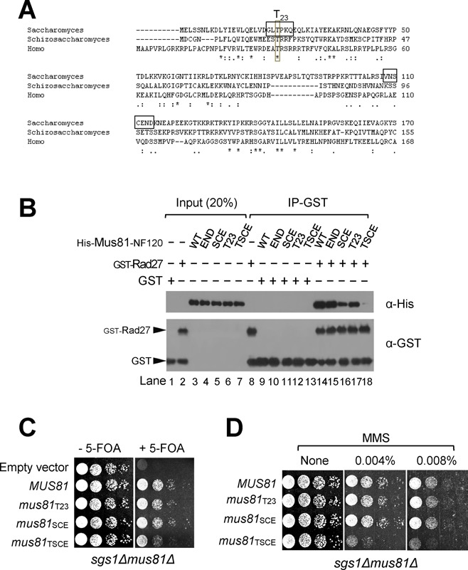 Figure 7.