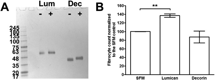 Fig. S3.