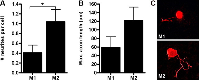 Figure 7.