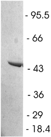 FIG. 6