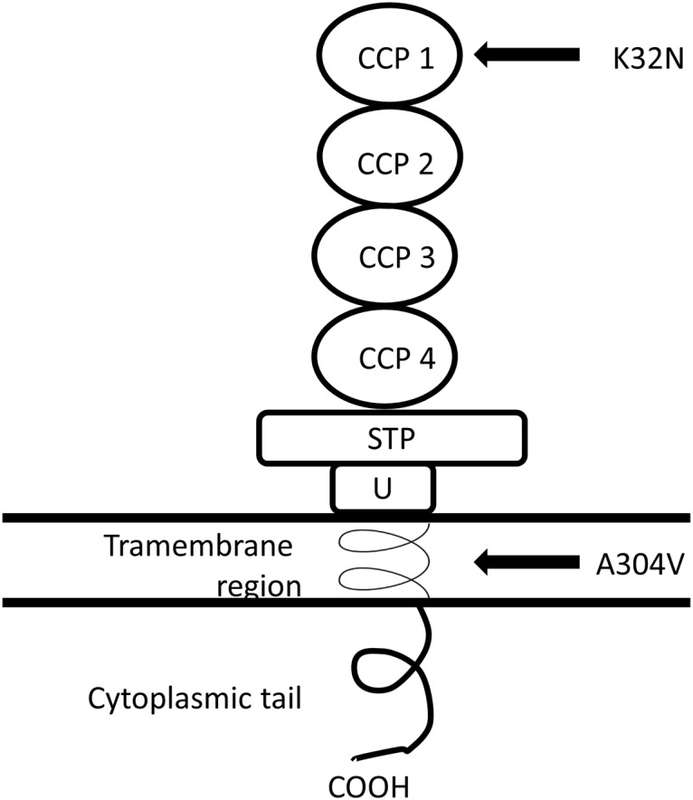 Fig 1