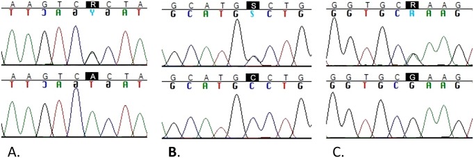 Fig 2