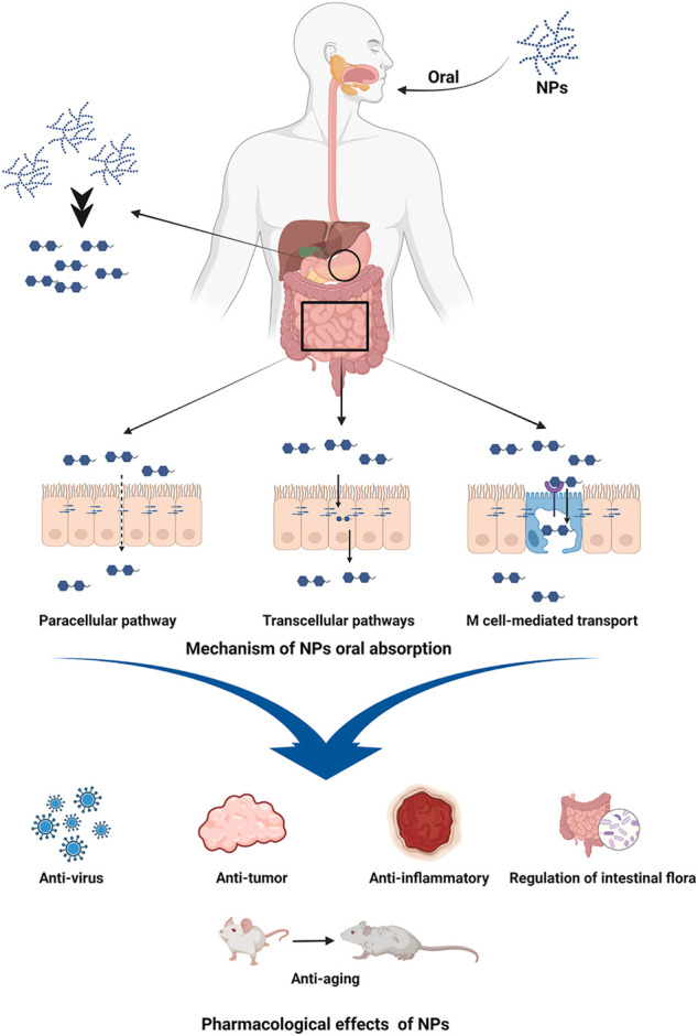 FIGURE 1