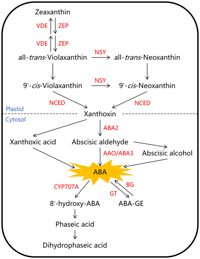 Figure 1