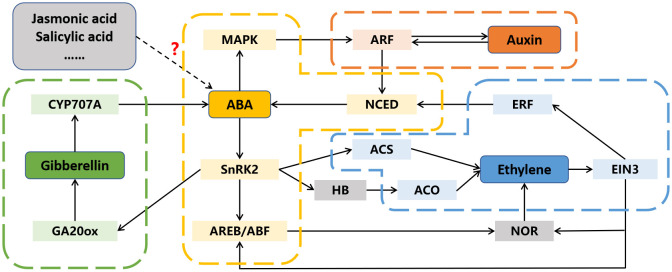 Figure 4