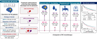 Graphical Abstract