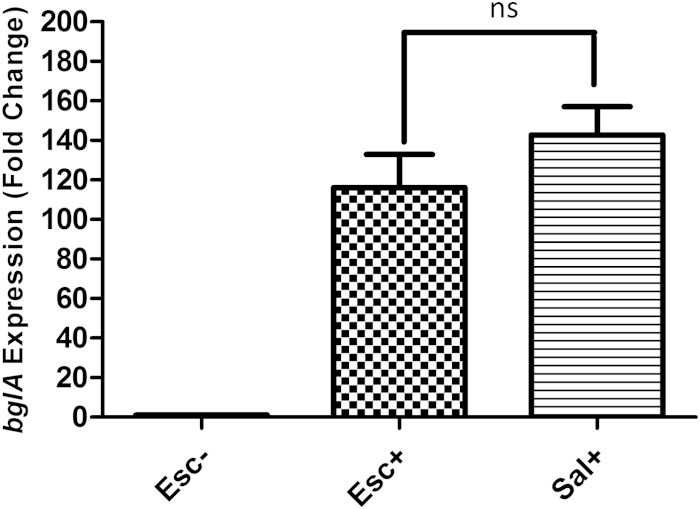 FIG 4