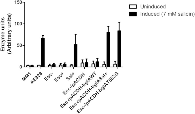 FIG 6