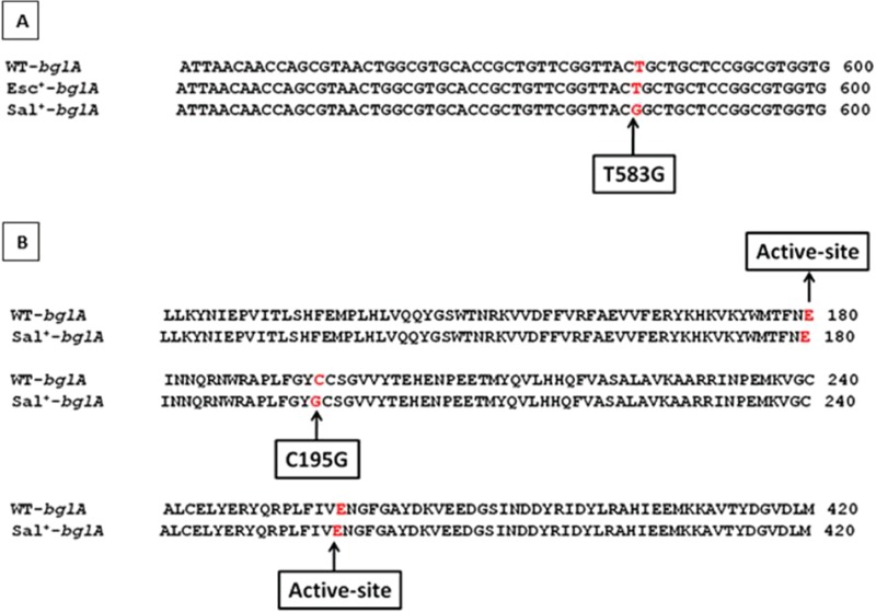 FIG 2