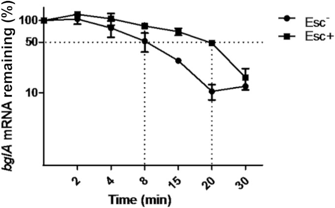 FIG 5