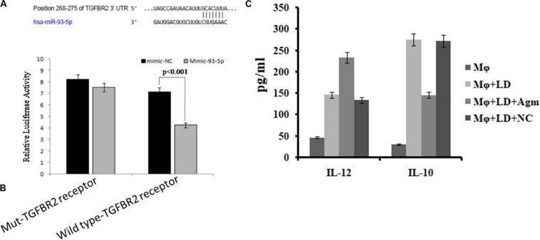 FIGURE 10