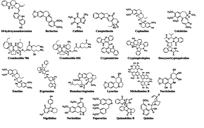 FIGURE 3