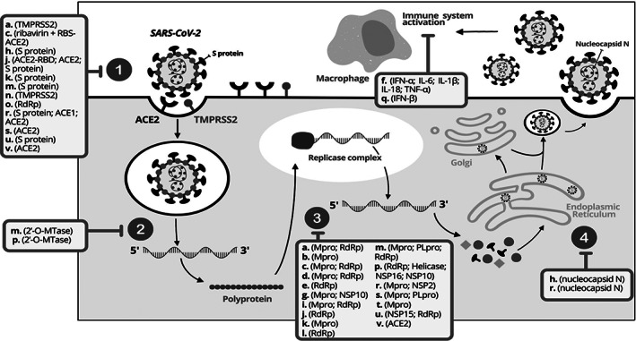 FIGURE 2