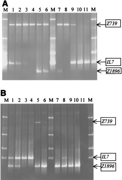 FIG. 3.