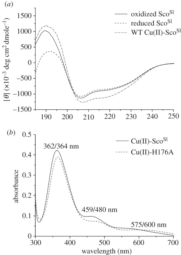 Figure 2.