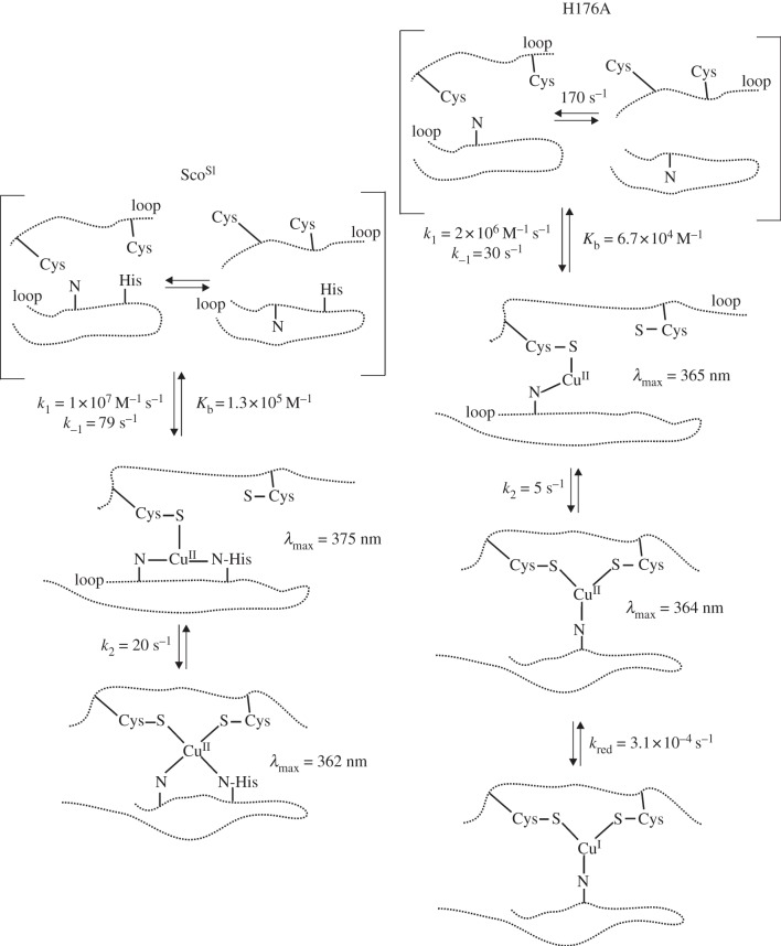 Figure 10.