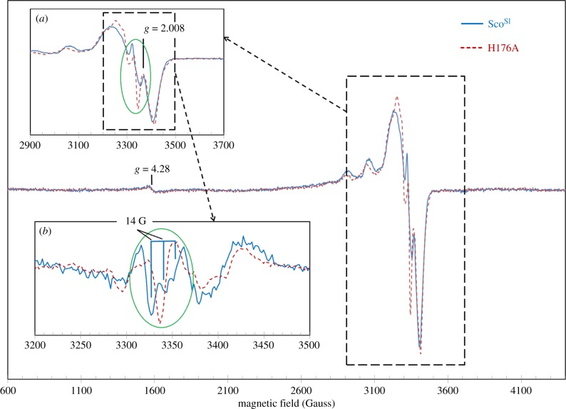 Figure 7.