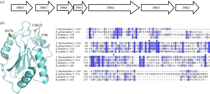 Figure 1.