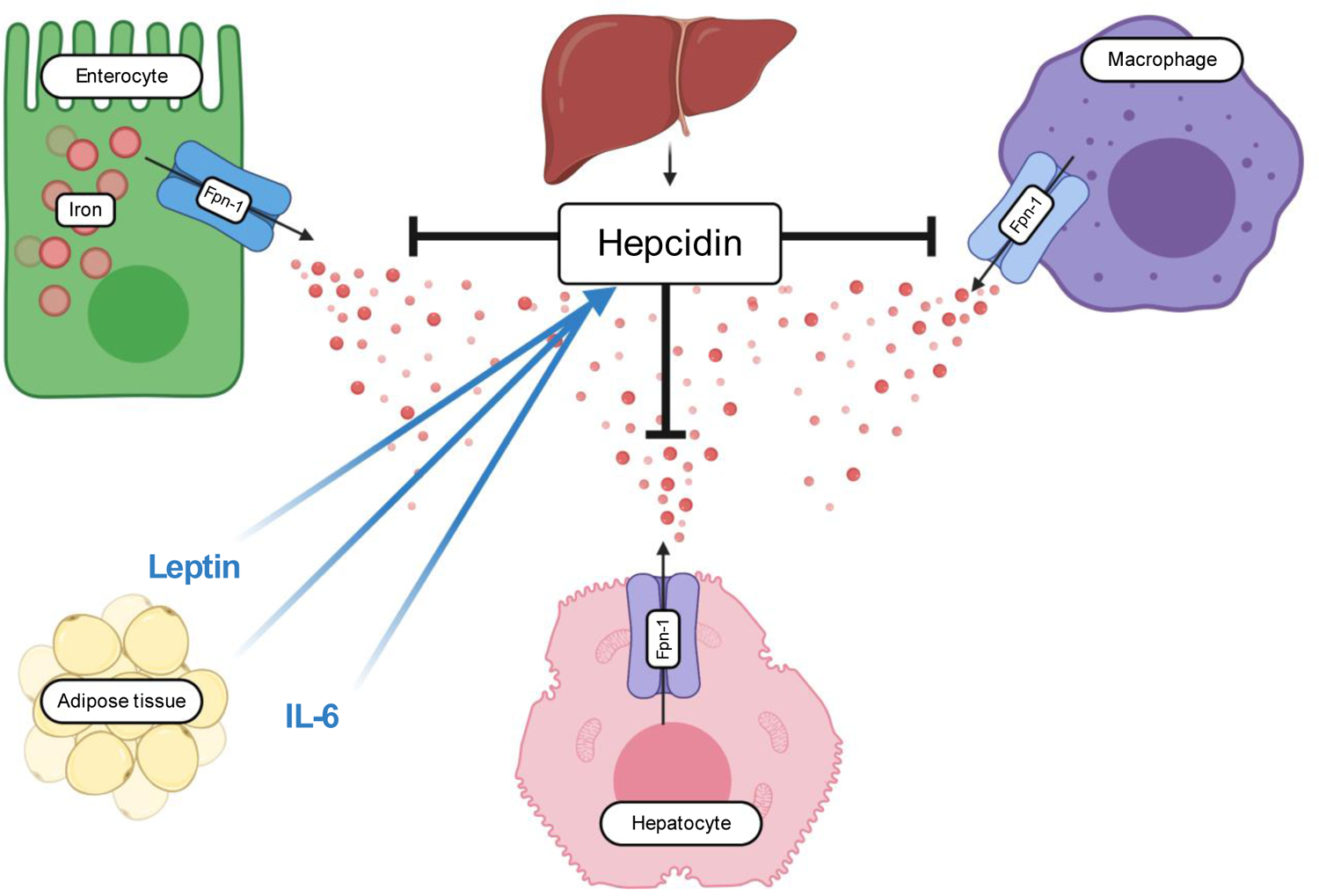 Figure 2: