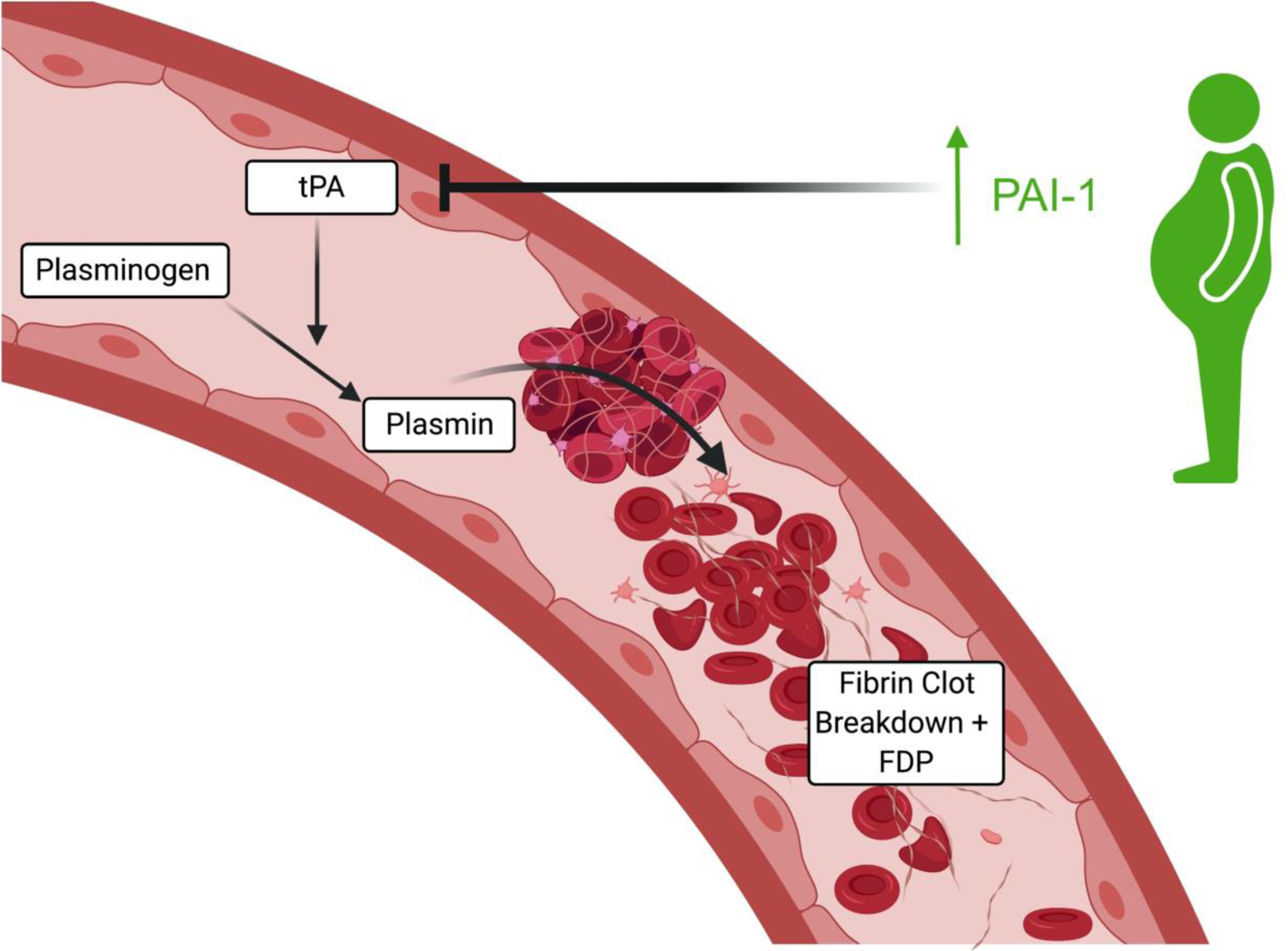 Figure 3: